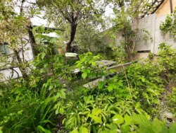 ��������� ������� ��������, ³�����, ³�������, ����� ���� 2