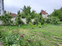 ��������� ������� ���������, ³�����, ³�������, �������� ���� 11