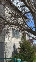 ��������� ������� �������, 62, ³�����, ³�������, ������� ���� ���� 18