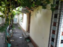 ��������� ������� ���������� ����, ³�����, ³�������, ³������� ������� ���� 3