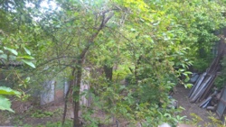 Продається будинок Кармелюка, 8, Вінниця, Вінницька, Ближнє Замостя фото 15 Продається будинок Кармелюка, 8, Вінниця, Вінницька, Ближнє Замостя фото 15