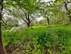 ��������� ������� ��������, ³�����, ³�������, ����� ���� 16