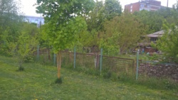 Продається будинок Кармелюка, 8, Вінниця, Вінницька, Ближнє Замостя фото 13 Продається будинок Кармелюка, 8, Вінниця, Вінницька, Ближнє Замостя фото 13