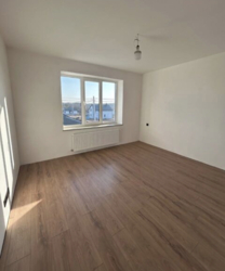 ��������� ������� �������, ³�����, ³�������, ���������� ���� 11