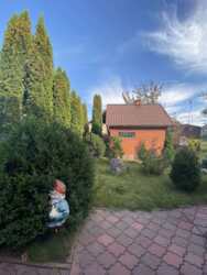 ��������� ������� ����������, ³������ ������, ³��������, ³������� ���� 13