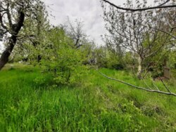 ��������� ������� ��������, ³�����, ³�������, ����� ���� 15