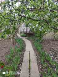 ��������� ������� ���������, 22, ³�����, ³�������, �������� ���� 14