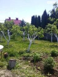 ��������� ������� ����� ��������������, ³�����, ³�������, ����� ���� ���� 19