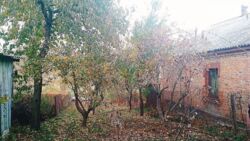 ��������� ������� ������ �����������, 19, ³�����, ³�������, ����� ���� 14