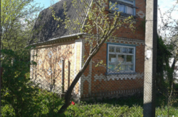 ��������� ������� ��������, ³������ ������, ³��������, ³������� ���� 1