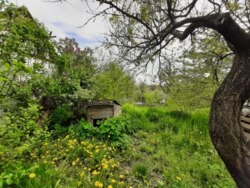 ��������� ������� ��������, ³�����, ³�������, ����� ���� 14