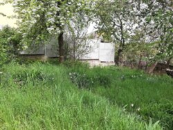 ��������� ������� ��������, ³�����, ³�������, ����� ���� 13