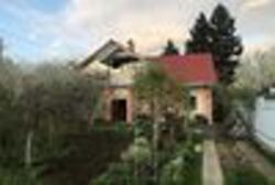 ��������� ������� ������ ����������, 49, ³�����, ³�������, ����'���� ���� 7