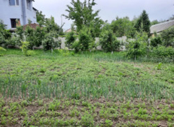 ��������� ������� ���������, ³�����, ³�������, �������� ���� 4