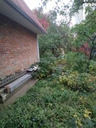 ��������� ������� �����������, 126, ³�����, ³�������, ������������� ����� ���� 13