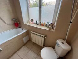 ��������� ������� �. ��������� (����������), 24, ³�����, ³�������, ����� ���� 20