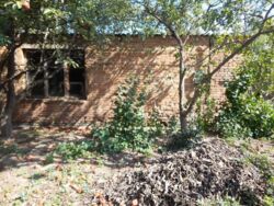 ��������� ������� ����� �������, 43�, ³�����, ³�������, ����� ���� ���� 11