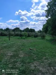 ��������� ������� ����������, ��������, ³������� ���� 12