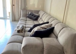 ��������� ������� ������, 7, ³�����, ³�������, ������ ���� 13