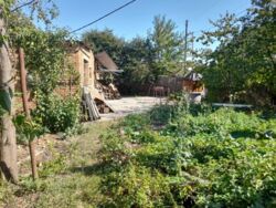 ��������� ������� ����� �������, 43�, ³�����, ³�������, ����� ���� ���� 17