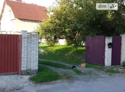 ��������� ������� ��������, ³�����, ³������� ���� 8