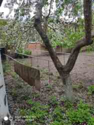 ��������� ������� ���������, 22, ³�����, ³�������, �������� ���� 10