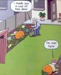 ��������� ������� ��������������, ³�����, ³�������, ������ ���� 4