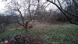 ��������� ������� ������������, 136, ³�����, ³�������, ����� ���� 11