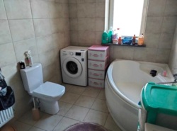 ��������� ������� ��������, 43, ����������, ³��������, ³������� ���� 3