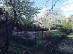 ��������� ������� �������, 35, ³�����, ³�������, ����� ���� ���� 4