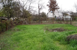 ��������� ������� ������������, 117, ³�����, ³�������, ����� ���� ���� 10