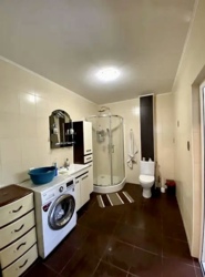 ��������� ������� �������, ³������ ������, ³��������, ³������� ���� 19