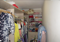 ��������� ������� �������� ��������, ����������, ³��������, ³������� ���� 13