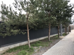 Продається будинок Нагірна, Вінниця, Вінницька, Старе місто фото 10 Продається будинок Нагірна, Вінниця, Вінницька, Старе місто фото 10