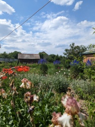 ��������� ������� ����. ���������, 5, ³�����, ³�������, ����� ���� ���� 1