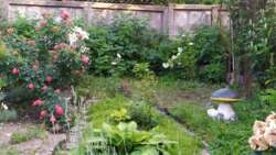 ��������� ������� ������ �������, 51/1, ³�����, ³�������, ����'���� ���� 7