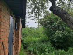 ��������� ������� �������, ³�����, ³�������, ����� ���� 7