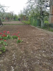 ��������� ������� �����, ³��������, ³������� ���� 11