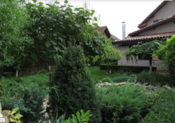 ��������� ������� �������� ��������, ����������, ³��������, ³������� ���� 10