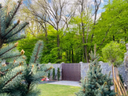 ��������� ������� ���������� ���� (�����������), ³�����, ³�������, �������� ���� 10