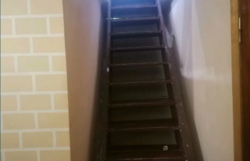 ��������� ������� �����, ³�����, ³�������, ����� ���� 1