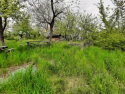 ��������� ������� ��������, ³�����, ³�������, ����� ���� 20