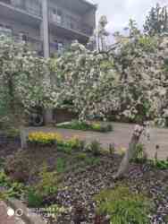 ��������� ������� ���������, 22, ³�����, ³�������, �������� ���� 18