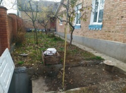 ��������� ������� ��������, 14, ³�����, ³�������, ����� ���� 20