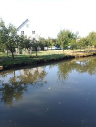 ��������� ������� 2- ����� ��������, ³�����, ³�������, ����� ���� ���� 9