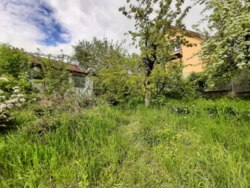 ��������� ������� ��������, ³�����, ³�������, ����� ���� 12