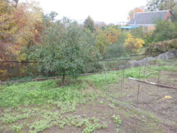 ��������� ������� �����������, 69, ³�����, ³�������, ������������� ����� ���� 6