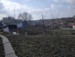 ��������� ������� ��� �������, 4, ��������, ³��������, ³������� ���� 12