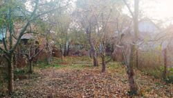 ��������� ������� ������ �����������, 19, ³�����, ³�������, ����� ���� 13