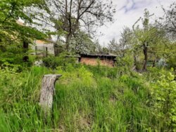 ��������� ������� ��������, ³�����, ³�������, ����� ���� 18